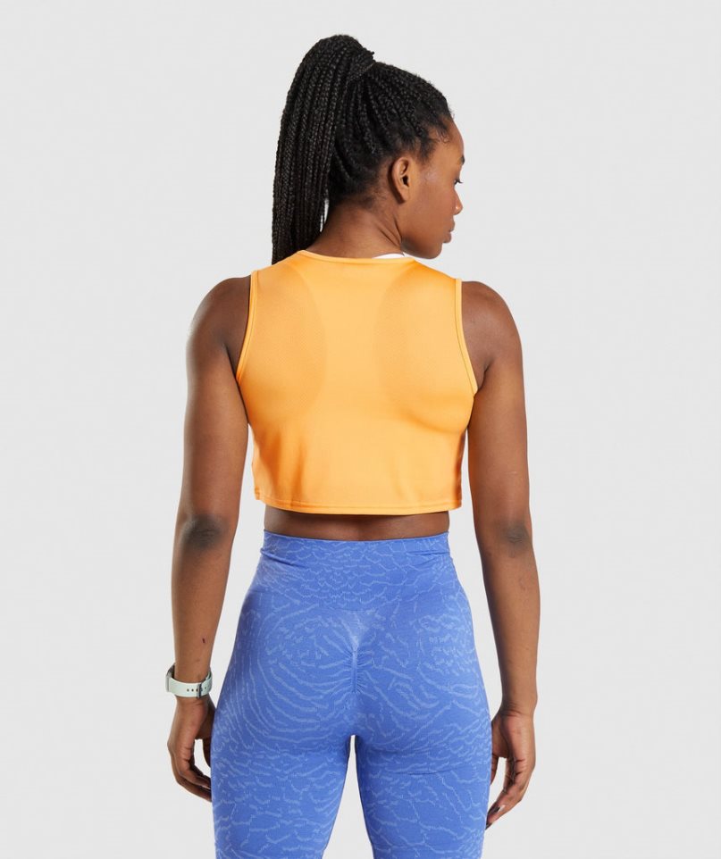 Women's Gymshark Training Crop Tanks Orange | NZ 0WQMJO